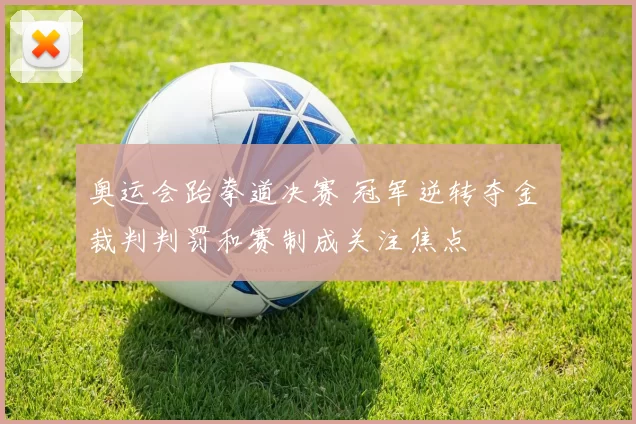 奥运会跆拳道决赛 冠军逆转夺金 裁判判罚和赛制成关注焦点