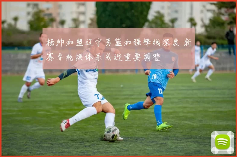 杨帅加盟辽宁男篮加强锋线深度 新赛季轮换体系或迎重要调整