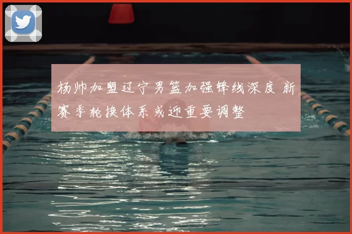 杨帅加盟辽宁男篮加强锋线深度 新赛季轮换体系或迎重要调整